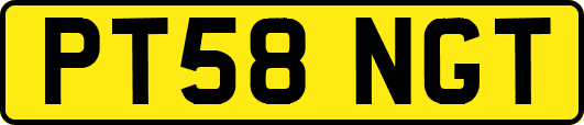 PT58NGT