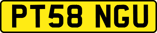 PT58NGU