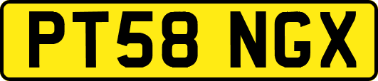 PT58NGX