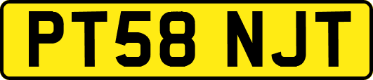 PT58NJT