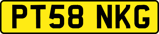 PT58NKG