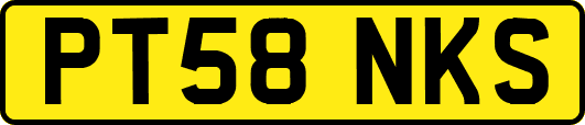 PT58NKS