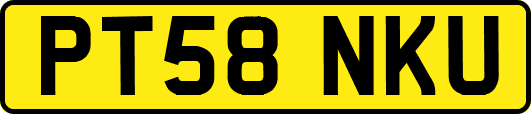 PT58NKU