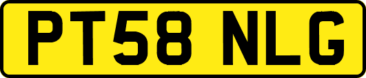 PT58NLG