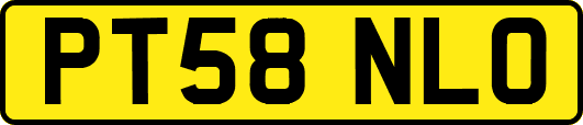 PT58NLO