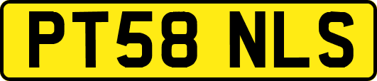 PT58NLS