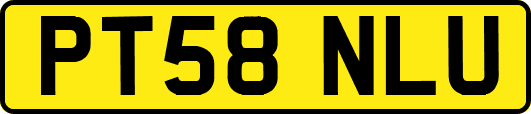 PT58NLU