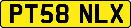 PT58NLX