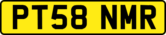 PT58NMR