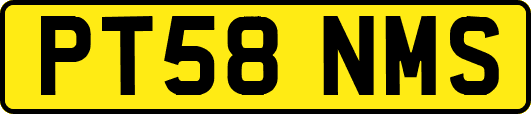 PT58NMS