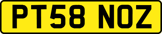 PT58NOZ