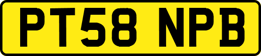 PT58NPB