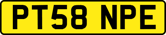 PT58NPE