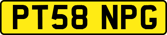 PT58NPG