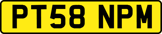 PT58NPM
