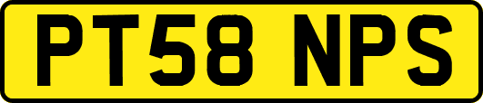 PT58NPS