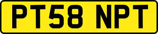 PT58NPT