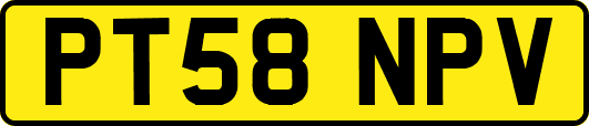 PT58NPV
