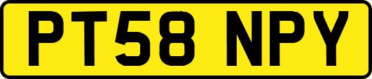 PT58NPY