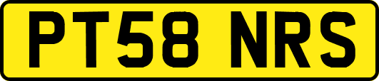 PT58NRS