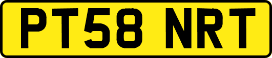 PT58NRT