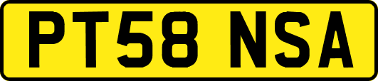 PT58NSA