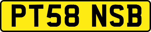 PT58NSB