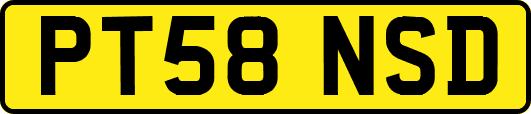 PT58NSD