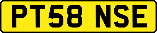 PT58NSE