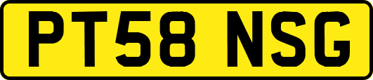 PT58NSG