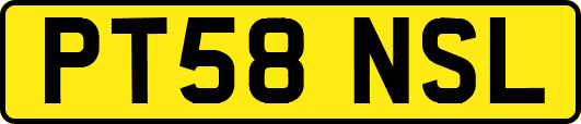 PT58NSL
