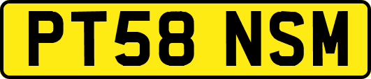 PT58NSM