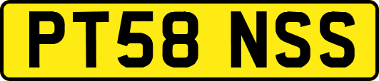 PT58NSS