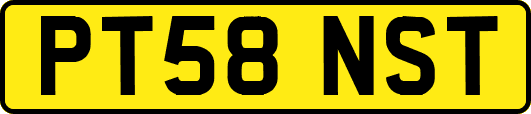 PT58NST