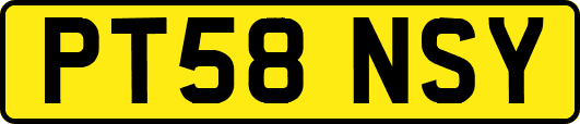 PT58NSY
