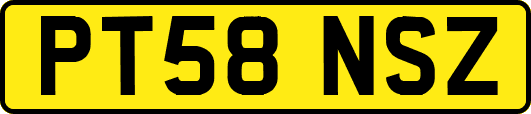 PT58NSZ