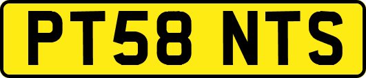PT58NTS