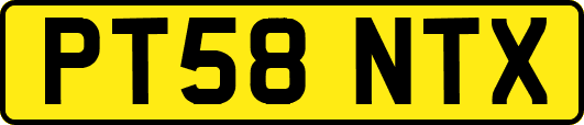 PT58NTX