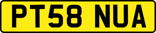 PT58NUA