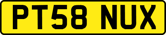 PT58NUX