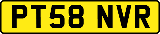 PT58NVR