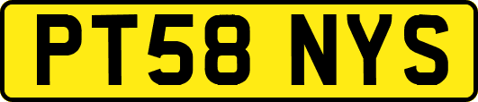 PT58NYS