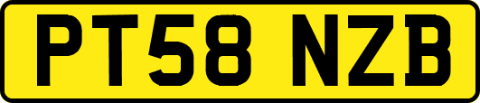 PT58NZB