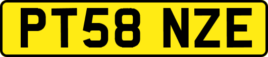 PT58NZE