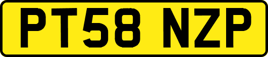 PT58NZP
