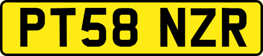 PT58NZR