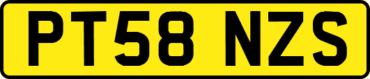 PT58NZS