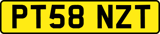 PT58NZT