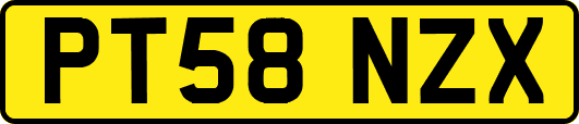 PT58NZX