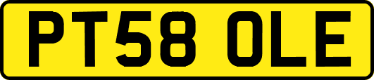 PT58OLE